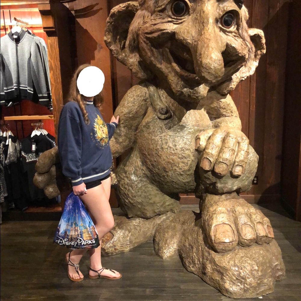 LOOKING FOR walt disney world tour sweatshirt - Picture 6 of 8